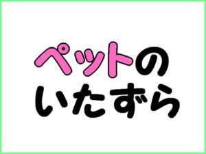 ペットによる壁や壁紙の補修