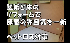 「【江東区】壁紙と床のリフォームで部屋の雰囲気を一新|ペットロス対策」のアイキャッチ画像