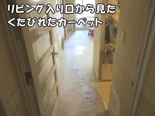 リビング入り口から見た、かなりくたびれたカーペットの状態が分かる様子