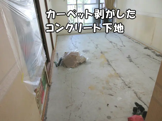 カーペット剥がしたコンクリート下地の様子